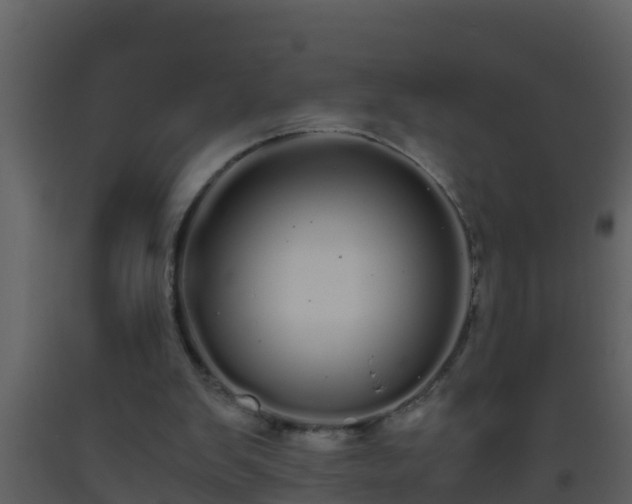 X0000093530103200710191402