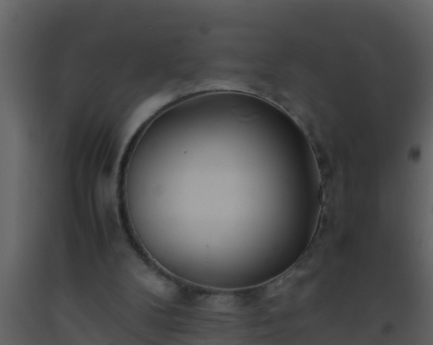 X0000093530104200710191402