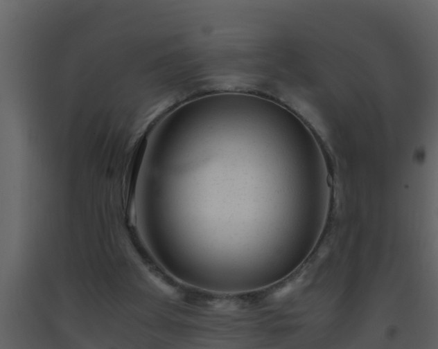 X0000093530105200710191402