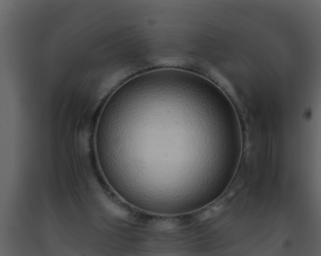 X0000093530106200710191402