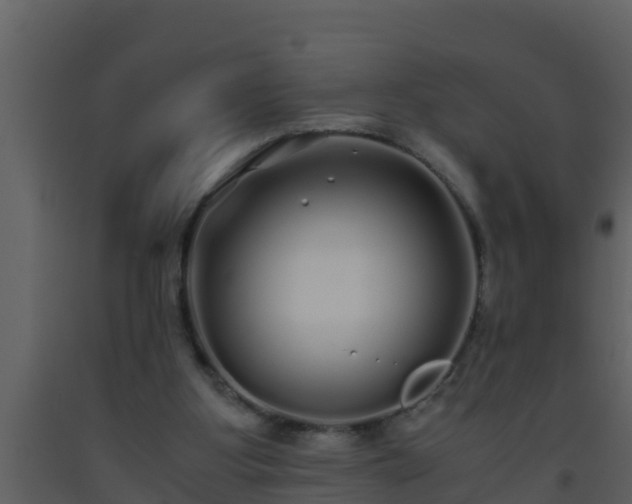 X0000093530107200710191402