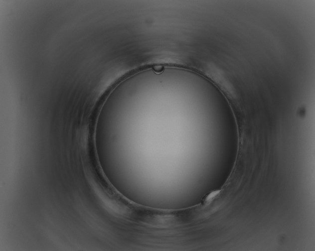 X0000093530108200710191402