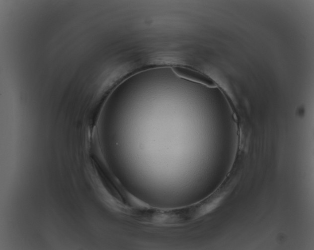 X0000093530109200710191402