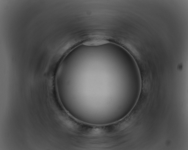 X0000093530111200710191402