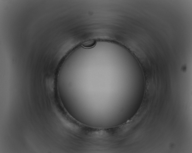 X0000093530112200710191402