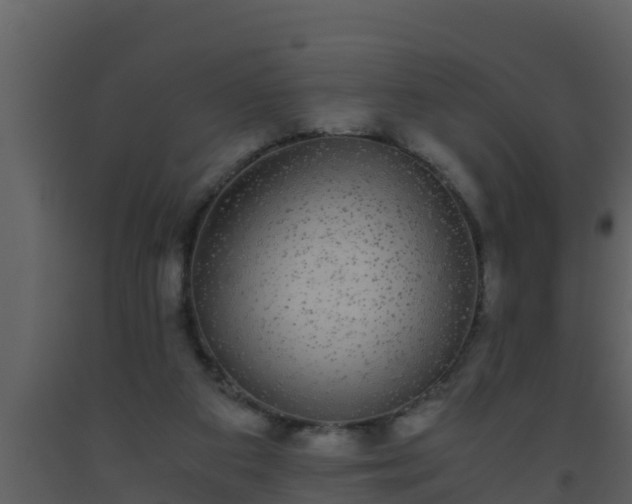 X0000093530113200710191402