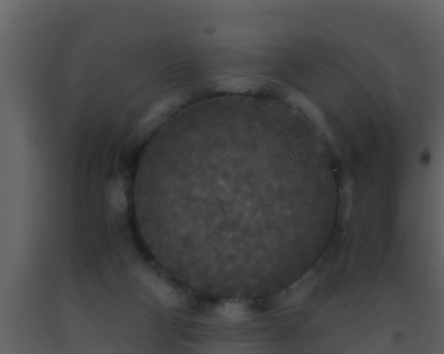 X0000093530114200710191402