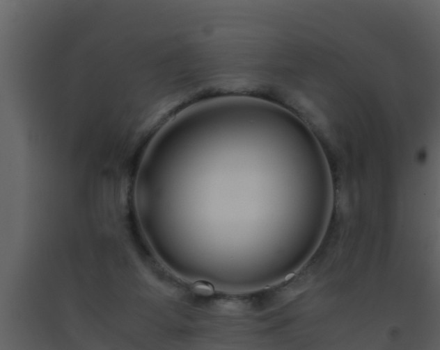 X0000093530115200710191402