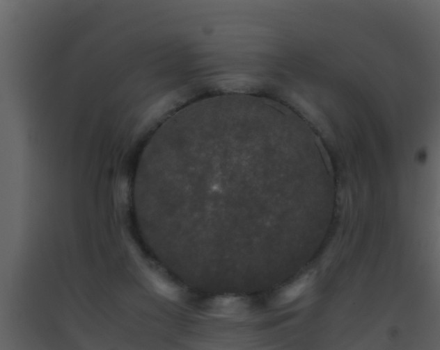 X0000093530117200710191401