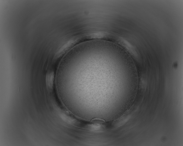 X0000093530118200710191401