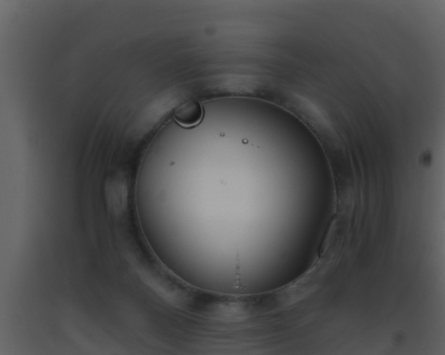 X0000093530120200710191401