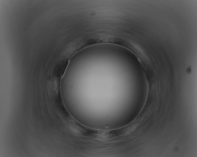 X0000093530121200710191401