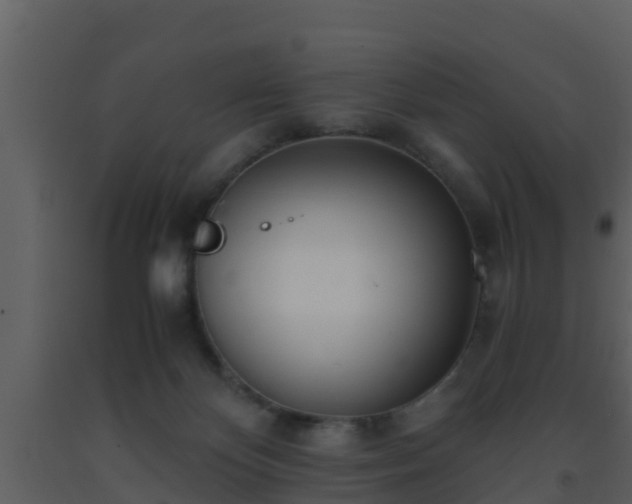 X0000093530124200710191401