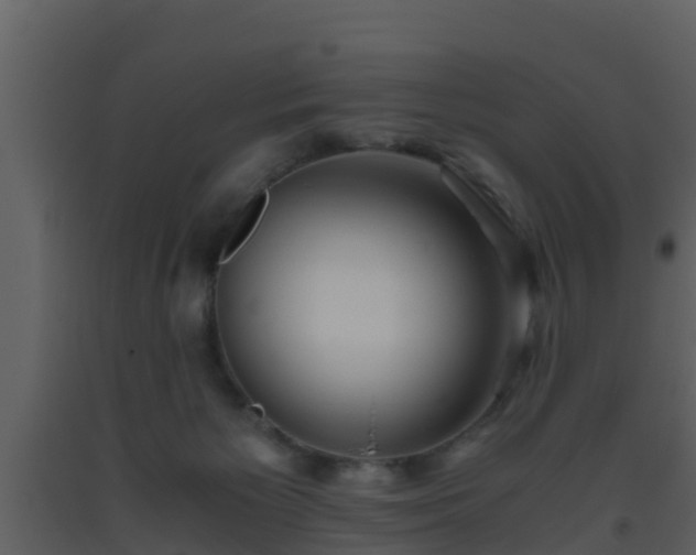 X0000093530125200710191401