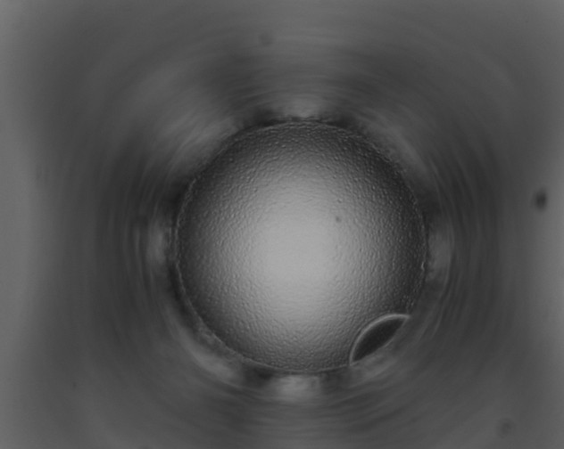 X0000093530126200710191401