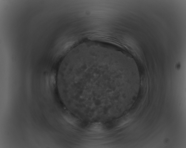 X0000093530127200710191401