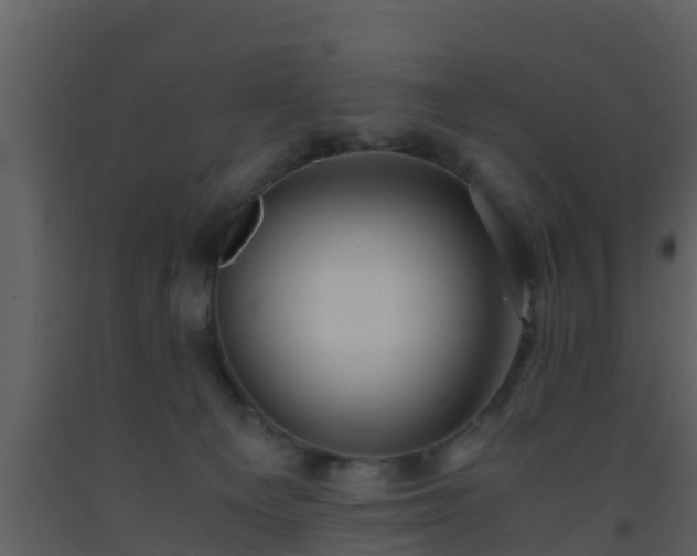 X0000093530129200710191401