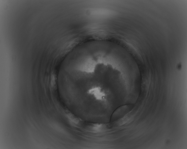 X0000093530130200710191401