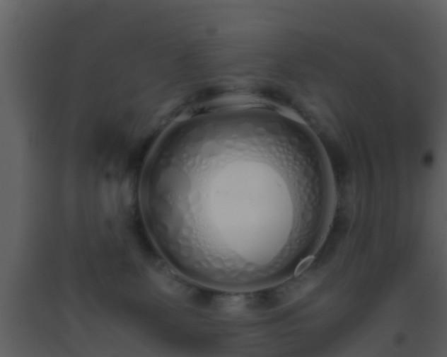 X0000093530131200710191401