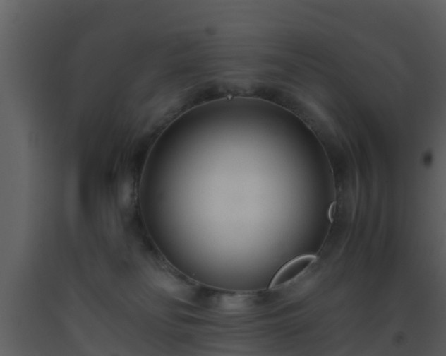 X0000093530134200710191401