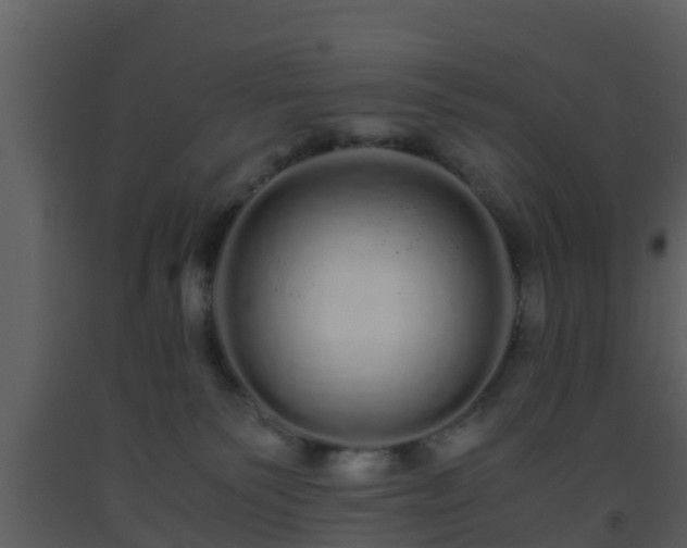 X0000093530135200710191401