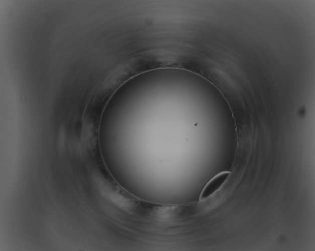 X0000093530136200710191401