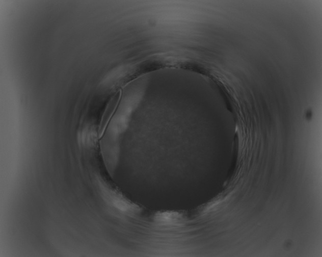 X0000093530137200710191401