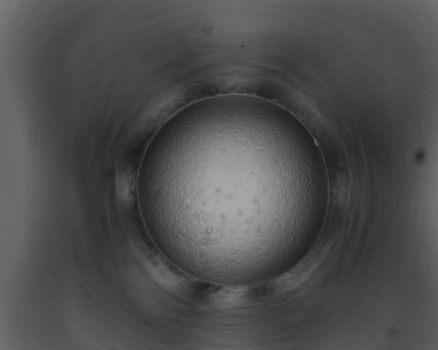 X0000093530138200710191401