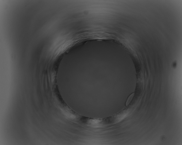 X0000093530139200710191401