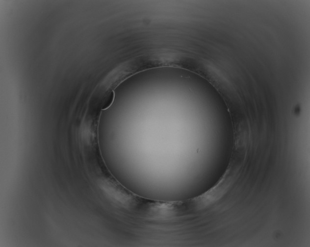 X0000093530140200710191401