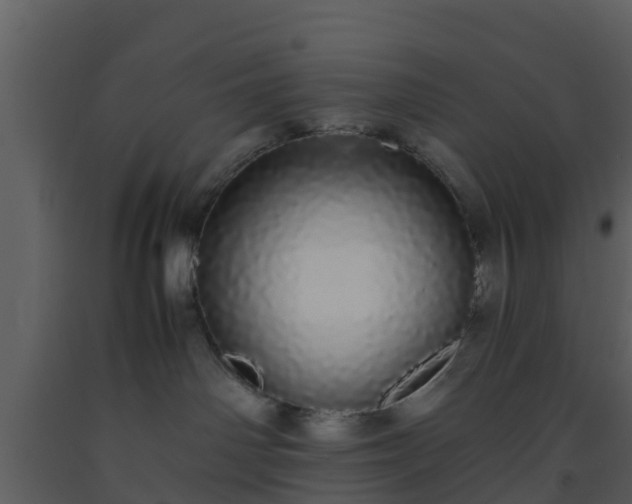 X0000093530142200710191401