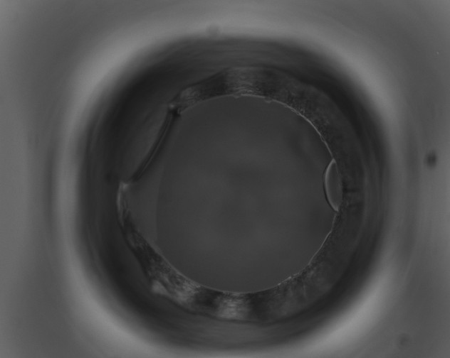 X0000093530143200710191401