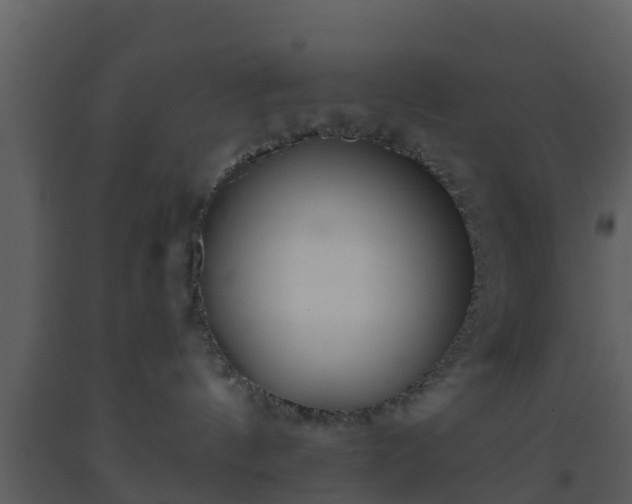 X0000093530144200710191401