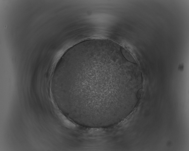 X0000093530145200710191400