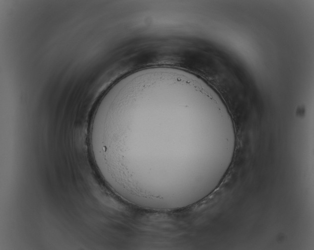 X0000093530146200710191400