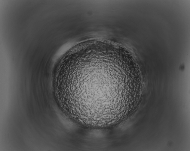 X0000093530149200710191400