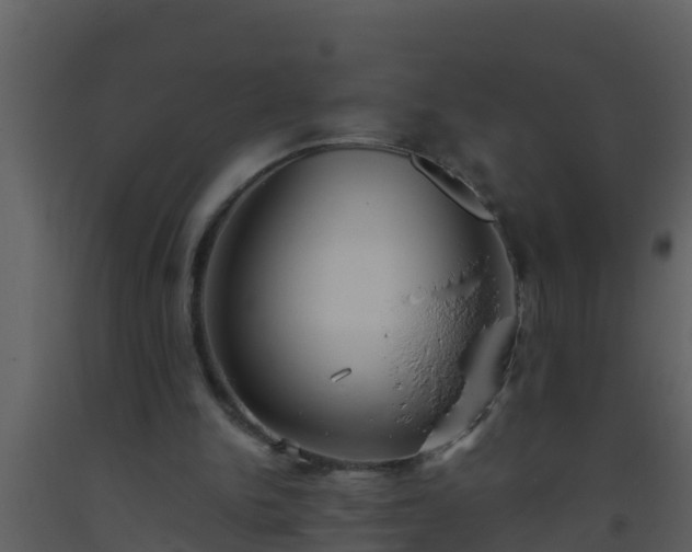 X0000093530150200710191400