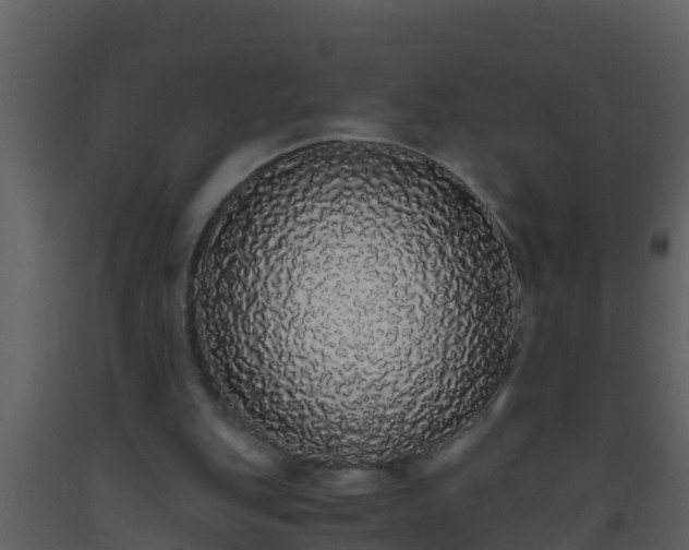 X0000093530151200710191400