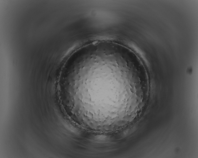 X0000093530153200710191400