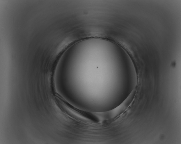 X0000093530154200710191400