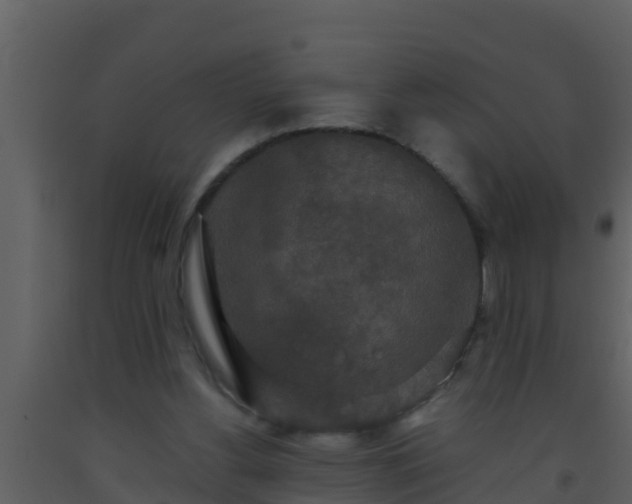 X0000093530156200710191401