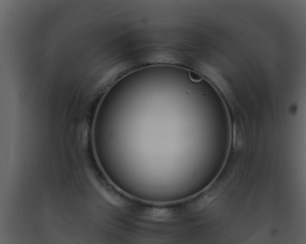 X0000093530157200710191401