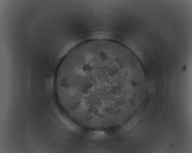 X0000093530159200710191401