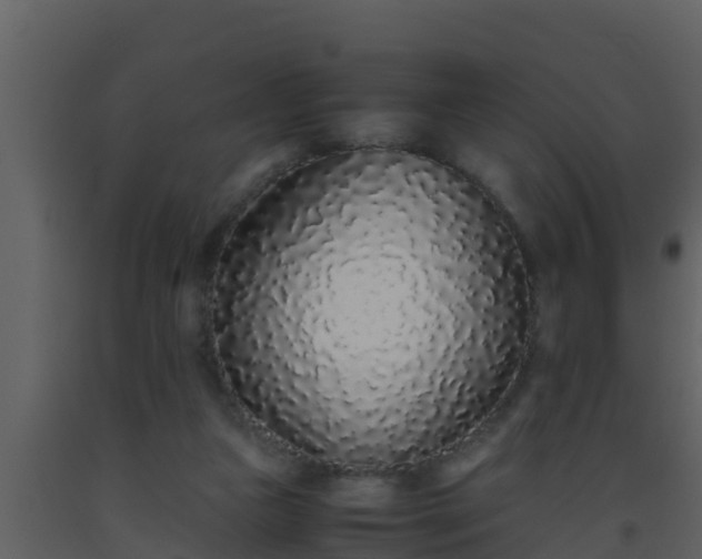 X0000093530161200710191401