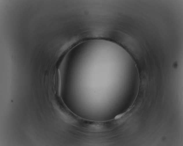 X0000093530164200710191401