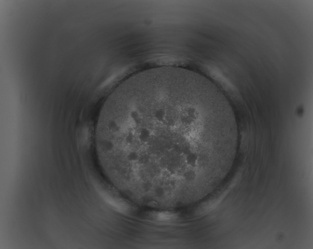 X0000093530165200710191401