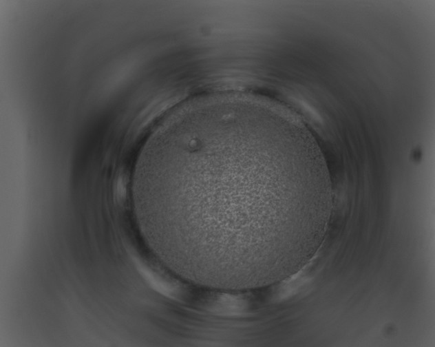 X0000093530166200710191401