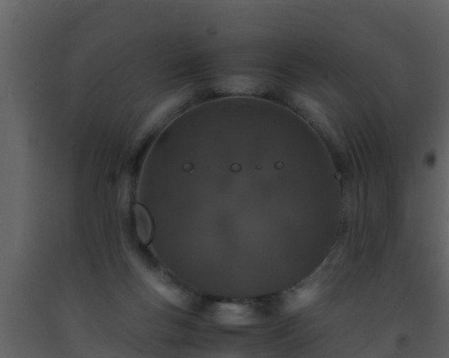 X0000093530167200710191401