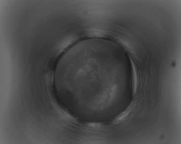 X0000093530168200710191401