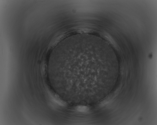 X0000093530169200710191401